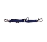 QHP Alliance de Longe pour Cheval