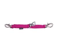 Alliance de longe pour cheval QHP Rose Standard