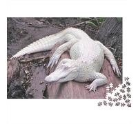 Alligator Blanc Puzzle 1000 Pièces en Carton Recyclé, Puzzles De Casse-tête Relaxation Et Méditation pour Un Hobby Créatif, Cadeau d'anniversaire De La Maison Puzzle 70x50cm/1000pcs