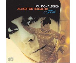 Alligator Bogaloo