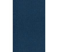 Allinearsi Alle Promesse Di Dio (Italian Edition)