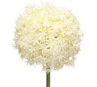 Allium artificiel crème blanc Deko Ø18cm L90cm