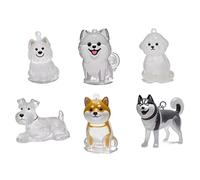 alloneslife 1 / 6pcs Clear Pet Hair Memorial Keychain Dog Furs Collecteur Keedsakes Boîte De Rangement en Plastique pour Chats Lover Gift Gift Perte Accessoires DE Cade