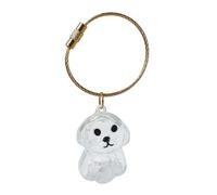 alloneslife Bouteille De Rangement pour Fourrure Chien Porte-clés Poils Chien Boîte Rangement d'animaux Pendentif Conteneur d'animaux Collection Commémorative Porte-clés