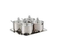 alloneslife Récipient pratique pour assaisonnement, sels, épices, boîte de rangement, organiseurs d'épices, texture en acier inoxydable 304 pour boîtes à sucre et café de cuisine