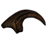 Allosaurus Réplique de fossile en griffe Taille XL