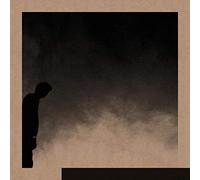 Allred,David - Felt The Transition [Import]