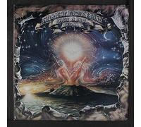 ALLRIGHT FAMILY BAND - music is love LP