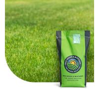 Allround : Semences de gazon récréatif - 1 kg pour 50 m² - Robuste et esthétique - Tolérant à l’ombre et à la sécheresse