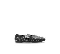 AllSaints - Sabine Ballerinas - Femme - Chaussures - Noir - Taille: 38 EU
