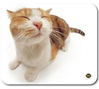Allsop Pet Me Cat X6 Tapis de Souris
