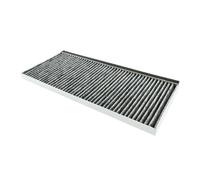 AllSpares Filtre à charbon actif CleanAir compatible avec Bosch 17006837 (455x20