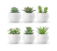 Allthingstore Lot de 6 plantes succulentes artificielles en pot conçues pour le bureau et la décoration de la maison avec des détails réalistes de feuilles et aucun entretien nécessaire
