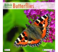 ALLTRADE Calendrier 2026 grand format mural 2026 avec papillons britanniques Fabriqué en Grande-Bretagne sur photos FSC par Archie Miles & Laurie Campbell