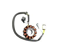 Allumage Bobine Kit D'assemblage De Bobine De Générateur De Magnéto Stator De Motocross À Haut Rendement, pour SM-Motors GR7 GR8 - NC250 NC250S NC300S NC450 Stator Magnéto