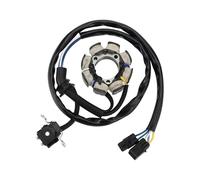Allumage Bobine Pièces Bobine Stator Moto, pour CRF250X CRF250 pour CRF 250 250X 2004-2009 2012 2013 2015 2016 2017 31100-KSC-A11 31100-KSC-671 Magnéto Stator