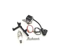 Allumage Bobine pour STIHL pour MS 180 018 170 017 MS180 MS170 pour Tronçonneuse Volant D'inertie Bobine D'allumage Fil Magnéto Bougie Kit Carburateur Stator Magnéto(3)