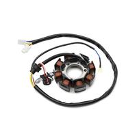 Allumage Bobine pour TTR50 TT-R50 2006 2007 2008 2009 2010-2020 1P6-H1410-01 1P6-H1410-00, Haute Production Pièces Bobine Stator Magnétique Durables Moto Stator Magnéto