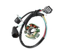 Allumage Bobine Stator Compatible Avec Suzuki Pour RMZ250 2005 2006 Générateur De Bobine De Stator Magnétique De Moto Accessoires De Moteur Rotor De Bobine De Magnéto De Remplacement 21003-0015