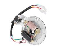 Allumage Bobine Stator Magnéto pour 140cc 125cc 110cc 90cc 70cc 50cc pour ATV Pit Dirt Bike Go Kart Quad Buggy Scooter 2 Bobines D'allumage Magnéto Bobine Stator Plaque