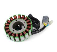 Allumage Bobine Stator Pour DS250 Pour DS 250 Pour DS-250 2008-2013 2014 2015 2016 Bobine Stator Moteur Pièces Générateur Magnéto Bobine Stator S31120RCA000 Kit Bobine Allumage