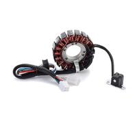 Allumage Bobine Stator Pour DVX400 Pour DVX 400 Pour DVX-400 2004 2006 2007 2008 Bobine De Stator Magnéto De Moto OEM 3409-026 Kit Bobine Allumage