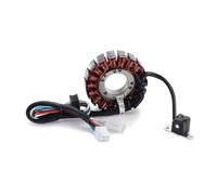 Allumage Bobine Stator Pour DVX400 Pour DVX 400 Pour DVX-400 2004 2006 2007 2008 Pièces De Rechange De Bobine De Stator De Moto OEM 3409-026 Kit Bobine Allumage