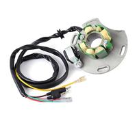 Allumage Bobine Stator Pour EC125 Pour EC200 Pour EC250 Pour EC300 Pour XC125 Pour XC200 Pour XC250 Pour XC300 Bobine De Stator De Moto MC250034005 Régulateur Bobine Stator