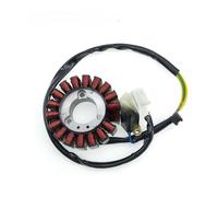 Allumage Bobine Stator pour Hy&osung GV250 2012-2015 GT250 GT250R GTR250 09-18 Version EFI 32101H98600 18 Bobine D'allumage Bobine D'allumage Stator