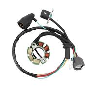 Allumage Bobine Stator Pour KX250F Pour KX 250 F Pour KX250 F Pour KX 250F 2004-2010 Accessoire Moto Générateur De Magnéto Bobine De Stator Pièces Kit Bobine Allumage