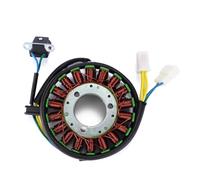 Allumage Bobine Stator Pour V2S 650 Pour V2C 650R 2006 2007 2008 Moteur Moto Magnéto Générateur Stator Bobine Pièces De Rechange Kit Bobine Allumage