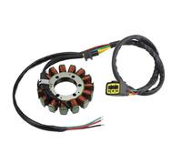 Allumage Bobine Stator Pour VN900 Pour Vulcan 900 Pour Classic 900 Pour LT 900 Pour Custom Bobine Stator Allumage Magnétique Moto Compatible Avec 07-17 21003-0053 Kit Bobine Allumage