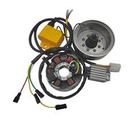 Allumage boîtier CDI Boît Kit D'allumage pour Moto 12 V, Rotor, CDI, Redresseur, Stator, Bobines, pour AM6 pour DT 50 R pour TZR 50 R