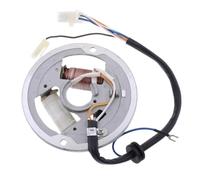 Allumage magnétique de Stator de Moteur de Moto argenté, 2 pôles, Compatible avec Les modèles de Moto PW80, Remplacement du marché secondaire
