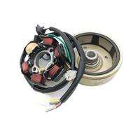 Allumage Moto Bobine stator magnéto pour Scooter 2 Temps Dio50 Dio AF17 AF18 AF24 AF27 AF28 AT55 50 Rotor(Dark Grey)