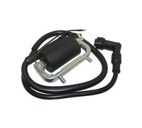 Allumages Allumage Moto Bobine D'allumage 6V pour CT70 pour Trail pour 70 ST70 ST50 pour DAX pour 30530-126-921