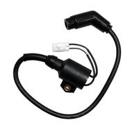 Allumages Bobine D'allumage 1 Pièce pour Polaris 300 pour Hawkeye 300 2x4 4x4 2006 2007 2008 2009 2010 2011 3089860 3089910 Bobine D'allumage