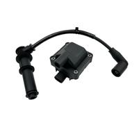 Allumages Bobine D'allumage 12 V pour 50 pour Atlantic Eu3 125 pour Sport pour City pour Cube 250 SR pour Max 300 pour Atlantic500 pour Scarabeo500 77187322(with Line)