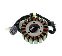 Allumages de moto Bobine de Stator magnétique pour générateur moteur pour moto, pour Bombardier pour Canam DS250 pour Can Am pour DS 250 2008 - 2016 S31120RCA000