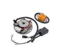Allumages Moto Pour Suzuki RM 80 85 85L RM80 RM85 RM85L Dirt Pit Bike MX Motocross Moto Bobine D'allumage Rotor Stator Magnéto CDI Coffret Bobine Stator
