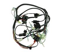 Allumeur boîtier CDI Accessoires Moto Faisceau de câblage Complet Bobine d'allumage CDI Moteur démarrage ATV Bu&ggy Quad pour 150cc 200cc 250cc 300cc