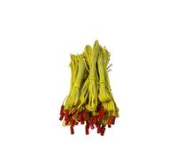 Allumeur d'artifice 100 unités/200 cm de couleur Jaune-Le déclencheur le plus populaire dans le domaine des feux d'artifice Zenda club®