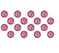 ALMACENESADAN, 0772 Pack fête et anniversaire Minnie Mouse 16 assiettes Minnie Mouse