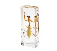 ALMASI Insecte en résine Bogue préservée Collection de Documents en résine Insectes en résine Divers spécimen d'insectes pour Les Hommes de Bureau Femmes Biology Science Teachers Education(Mantis)