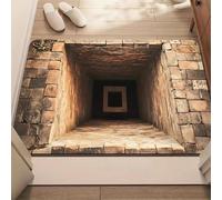 ALMASI Tapis à Trous d'illusion d'optique 3D pour intérieur, Salon, Chambre à Coucher, dortoir, buanderie, crèche, Salle de Jeux, paillasson antidérapant pour décoration d'entrée(A,80 * 120CM)