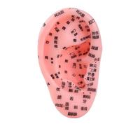 Almencla Modèle Des Points D'acupuncture de L'oreille Humaine, Modèle de La Zone Auriculaire pour La Formation dans Les Salons de Beauté