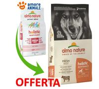 Almo Nature Chien Holistique Grand 12 KG - Bœuf Et Riz - Croquettes Pour Chiens
