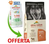 Almo Nature Holistic Large pour chiens – Agneau et Riz – 12 kg