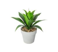 Atmosphera - Aloé Vera artificiel - Hauteur 34 cm - Vert Vert G