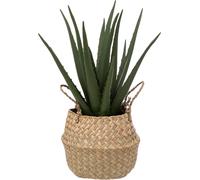 Aloe Vera artificiel - Pot de roseau - H40 cm - Atmosphera créateur d'intérieur